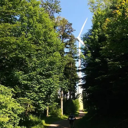 Lettisches Haus Gundelfingen (Breisgau)