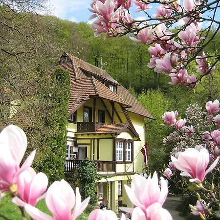 Lettisches Haus Gundelfingen (Breisgau)