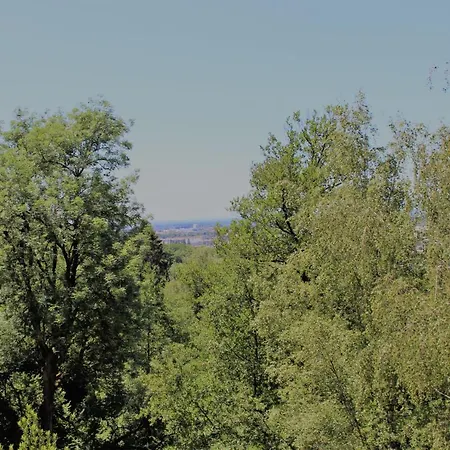 Lettisches Haus Gundelfingen (Breisgau)